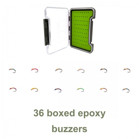 36 epoxy buzzer boxed set